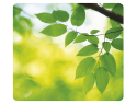 Fellowes Recycled Mouse Pad Leaves
